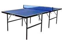 Table tennis table